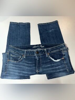 American Eagle Outfitters Women’s Dark Blue Skinny - 14long